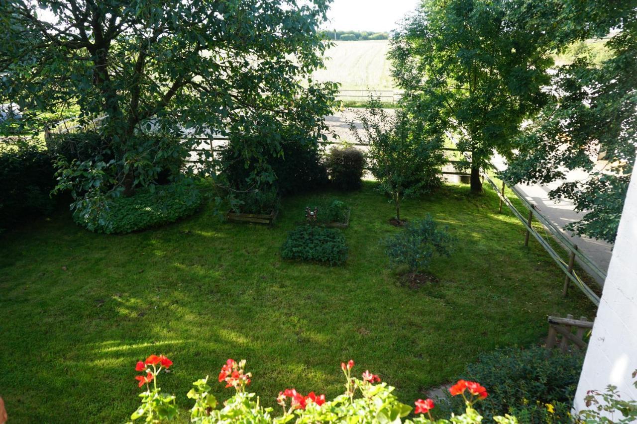 Au Randonneur - B&B Thuin Exterior foto